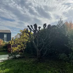 Bild von Alpes Jardins Tirozzini Paysagiste