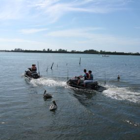 Bild von Island Jet Ski Tours & Rentals