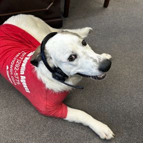 Stop by Bryan Nowlin State Farm and see our expert pet insurance consultant, Ghost, about all your pet insurance needs. He accepts treats as payment! ????