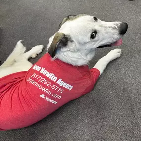 Stop by Bryan Nowlin State Farm and see our expert pet insurance consultant, Ghost, about all your pet insurance needs. He accepts treats as payment! ????