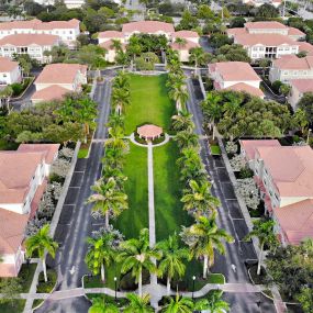 Aerial View of Floresta