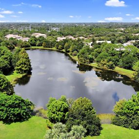 Aerial View of Lake