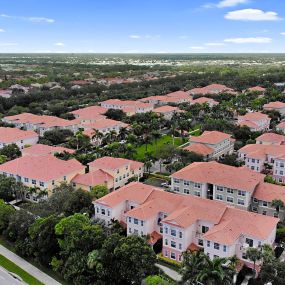 Aerial View of Floresta