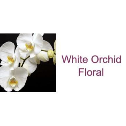 Logo fra White Orchid Floral