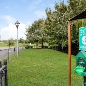 Dog Park