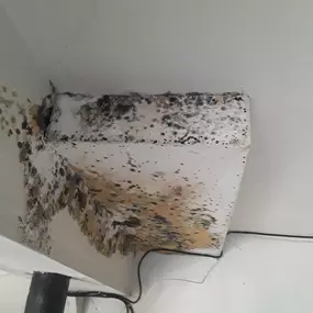 Bild von Aspen Air Duct Cleaning