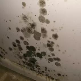 Bild von Aspen Air Duct Cleaning