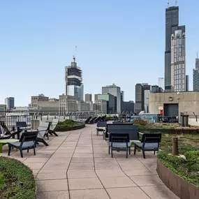 Roof-Top Views of Downtown Chicago