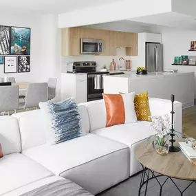 Spacious Townhomes in Chicago's South Loop