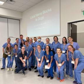 Veterinary Practice Partners Academy Class