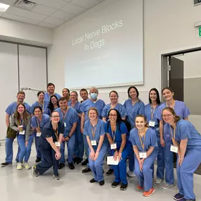 Veterinary Practice Partners Academy Class