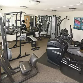 a gym with various machines and weights on the floor Pinewood Estates, Zimmerman, 55398