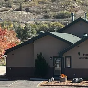 Plum Creek Veterinary Services