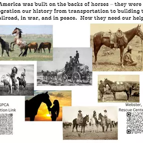 NATIONAL HELP A HORSE DAY
In the United States, the horse holds legendary status. Despite that, many go unwanted, abused, or neglected. This day strives to address those issues by drawing attention to several organizations that support horse rescue, rehabilitation, and adoption. Their programs offer shelter and veterinary care for horses that have been neglected or abused.
 Support a horse rescue near you. Volunteer or donate to the cause. If you're able to adopt or foster a horse, visit a rescu