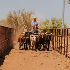 Bild von Seven Peaks Fence and Barn