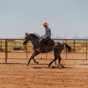 Bild von Seven Peaks Fence and Barn