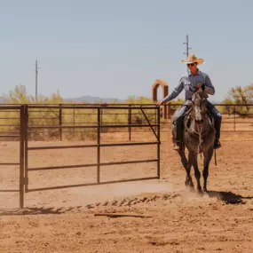 Bild von Seven Peaks Fence and Barn