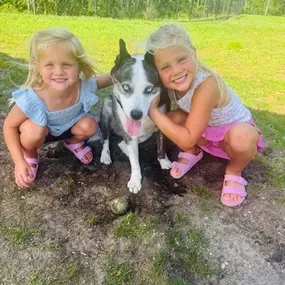 All American Pet Day! We love our fur babies!