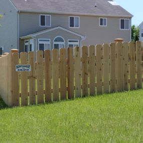 Cedar Fence