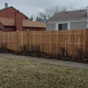 cedar privacy fence