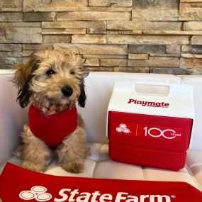 Rocco Turpin - State Farm Insurance Agent