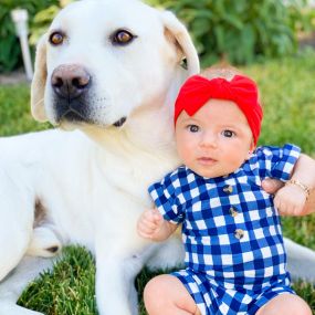 Did you know that State Farm offers pet insurance? Treat your pet like the family member they are, and get them protected with pet insurance! Contact me and get a quote today!