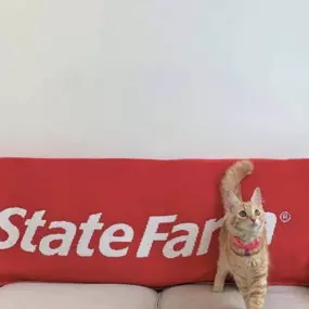 Like a good neighbor, State Farm is there! Contact me today with any Insurance questions!