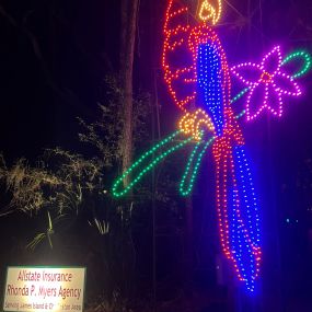 James Island Holiday Festival of Lights display