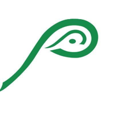 Logo from Parmer Eye Care