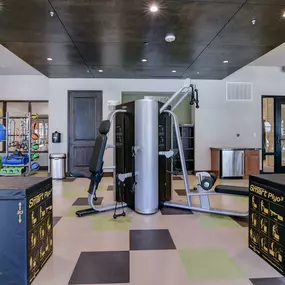 Gym at Park at Rialto Apartments