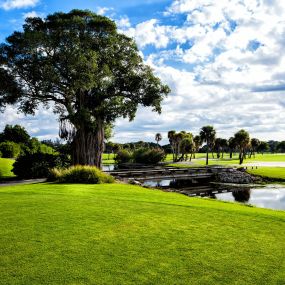 Bild von Harbourside Golf Course