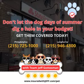 Jeffrey Gottesman - State Farm Insurance Agent in Philadelphia