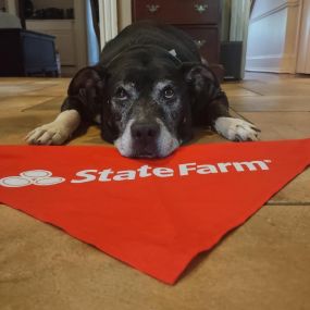 Bild von Emily Buckingham - State Farm Insurance Agent