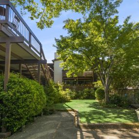 Courtyard at 3543 Brook Street