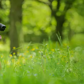 Bild von Tumbleweed Country Kennel