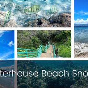 Slaughterhouse, otherwise known as Mokule’ia Beach on Maui is one of the best places to snorkel on Maui because it is a protected reef with thriving aquatic life. In summer months the ocean is typically calm and visitors can snorkel, swim, and enjoy body boarding in the small shore break.
