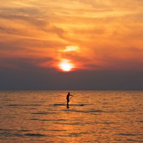 Stand up paddleboarding is one of the most fun activities you can get into off shore! Our stand up paddle board rentals provide a large platform from which to peer into the marine environment from above. These boards are wonderful for cruising along and checking out the shallow coral reefs. You are sure to see all kinds of colorful fish as you glide past one another. Make sure to keep your eyes open for Hawaiian green sea turtles who may be rising up to breathe!