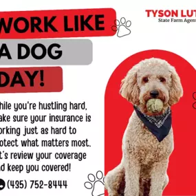 Work like a dog, but make sure your coverage works just as hard for you!