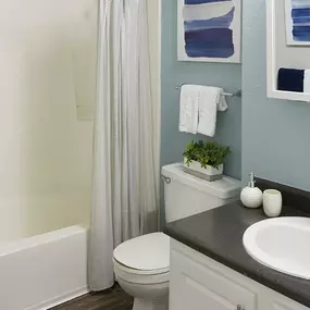 Deluxe Bathroom