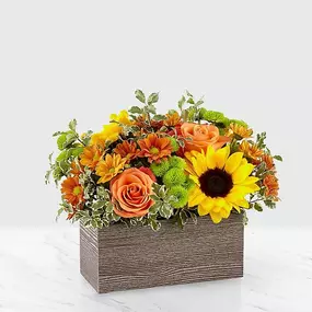 Bild von Owen's Florist