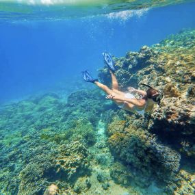Snorkeling safety tips - enjoy the clear waters of Hawaii safely.