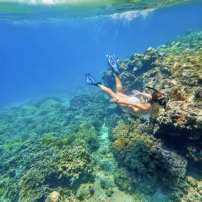 Snorkeling safety tips - enjoy the clear waters of Hawaii safely.