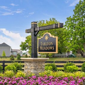 Bild von Tarlton Meadows by Rockford Homes