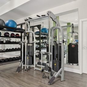 High-Endurance Fitness Center with Free Weights, Strength Training & Cardio Equipment