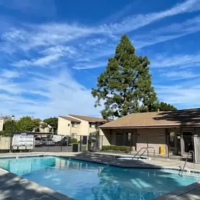 Sparkling Pool