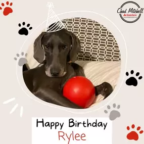 Birthday shoutout today going to Rylee!