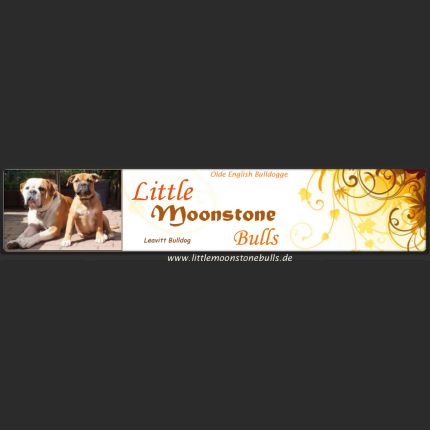 Logótipo de Little Moonstone Bulls
