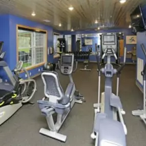 the gym is equipped with a variety of exercise equipment