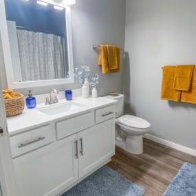 a bathroom with a toilet a sink and a mirror