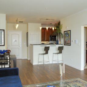 Kitchen and Living Room